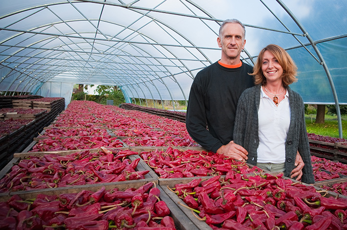 Producteur de Piment d'Espelette