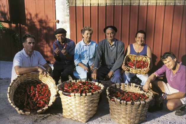 Achat Délice de piment doux au piment d'Espelette - Producteur