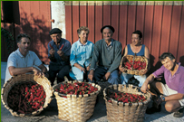 La Maison du Piment de Espelette - Famille